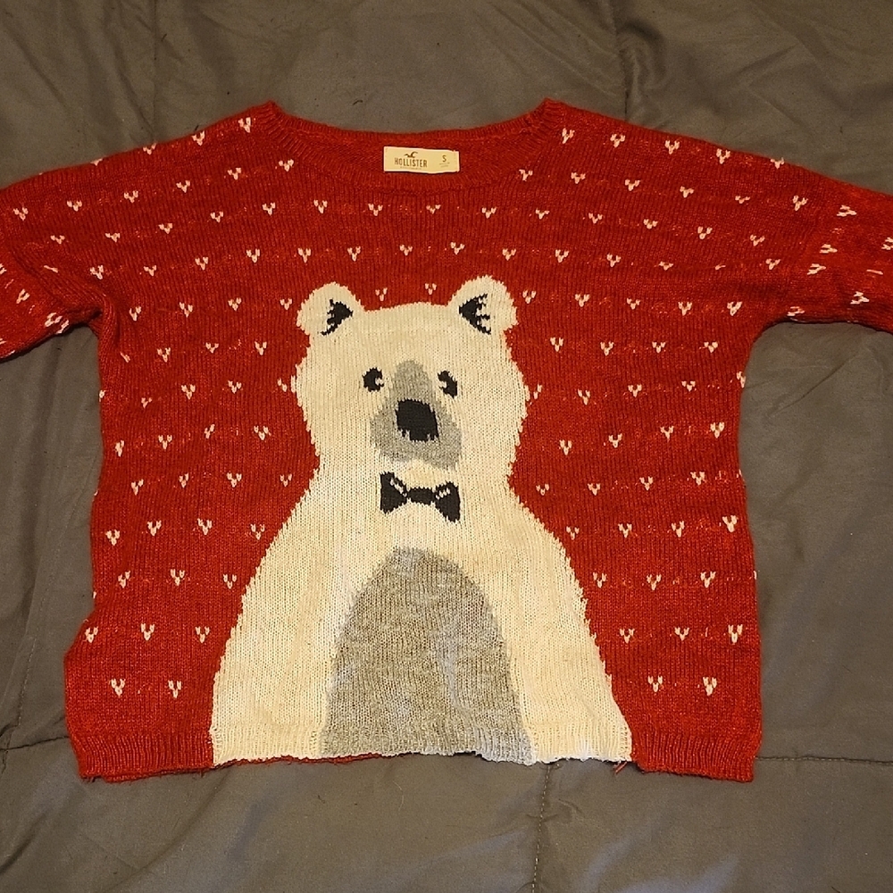 Women's Hollister Polar Bear Sweater Size S